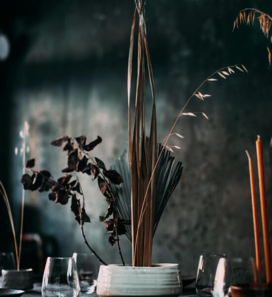 pexels-rachel-claire-4992813